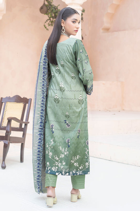 Digital Luxury Bana Dora Lawn Embroidered 3-Piece Dress